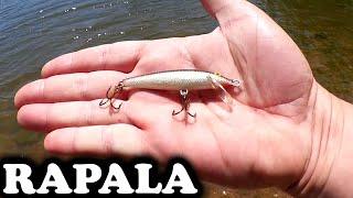 Bass Fishing With a Floating Minnow Beginner Fishing Lure Rapala