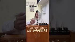 Les moustiques  pendant Shabbat  L’été approche… comment réagir ?