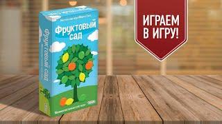 ФРУКТОВЫЙ САД соревнуемся втроём в настольную игру для одного игрока