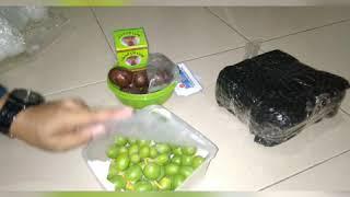 Unboxing#3 - Lagi PROMIL...???? kurma muda dan zuriat solusinya.. 1 bulan inshaa allah.....