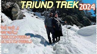 triund trek 2024 winter snow️ कैसे जायेकब जायेtreking feescamping fees..? dharmshala himachal