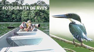 FOTOGRAFÍA DE AVES desde un bote ​​ Aquí hay un tesoro