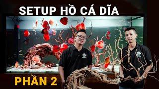 SETUP HỒ CÁ DĨA PHẦN 2 - Bí quyết để CÁ KHỎE NƯỚC TRONG