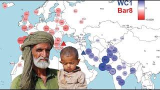 DNA results of Iranian Neolithic Farmer WC1