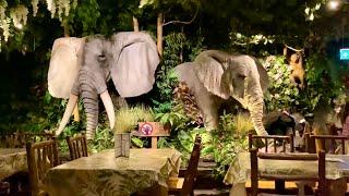 Rainforest Cafe with jungle theme in London 4K