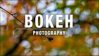 Bokeh Effect