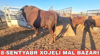 8-СЕНТЯБРЬХОЖЕЛИ МАЛ БАЗАРЫСКОТНЫЙ РЫНОКBUQALARBIG BULLS IN THE WORLDBIG COW