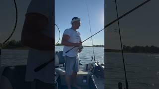 Уловы на Нижней Волге Астраханская обл #fishing#рыбалка