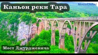 Мост Джурджевича. Каньон реки Тара.Черногория 10.06.2023