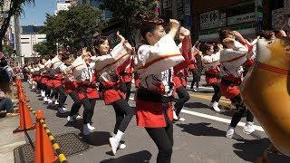 4K・ 【4K】Shibuya Kagoshima Ohara matsuri festival - part 1