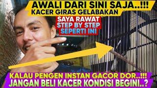 AWALI DARI SINI ⁉️ KACER GIRAS GELABAKAN BIAR MAPAN DAN GACOR ‼️ RAWAT BEGINI SAJA..?