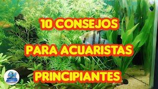 10 CONSEJOS PARA ACUARISTAS PRINCIPIANTES