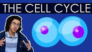 Biology Crash Course The Cell Cycle