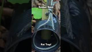 Rubber Band Rat Trap #bushcraft #survival #survivalgear #rubber #trap #skills #food #craft #diy