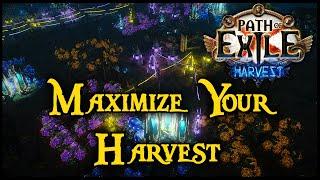 Harvest League Easy Garden Setup - Can Grow All Tiers of Seeds Path of Exile Path of Exile