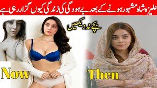 OMG Alizey Shah Bad Video viral From Her car