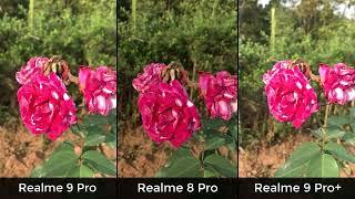 Realme 9 Pro Vs Realme 8 Pro Vs Realme 9 Pro Plus Camera Test
