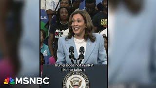 Kamala Harris rides viral meme wave as campaign seizes organic momentum