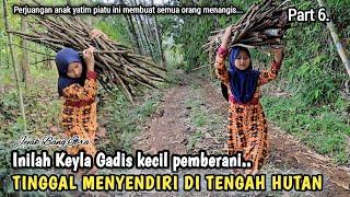 NEKAD DEMI BERTAHAN HIDUP GADIS KECIL TETAP MEMILIH TINGGAL DI MENYENDIRI TENGAH HUTAN ANGKER...