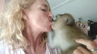 Rough Kisses With My Monkey