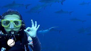 Diving FAKARAVA SOUTH unsupported...even a 10 year old can do it Ep. 59