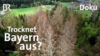 Wassermangel - trocknet Bayern aus?  DokThema  Doku  BR