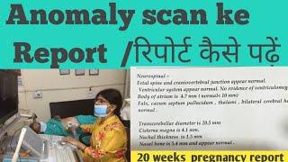 Anomaly scan Level 2 ultrasound Report रिपोर्ट कैसे पढ़ें Hindi Drhome