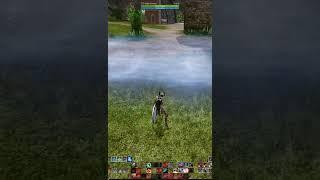 Archeage Новая анимация барьера