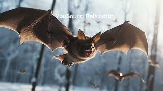 8 hours Repellent Anti Bats Sound  Ultrasonic Sound  Get Rid Of Bats  High Frequency  No Bats