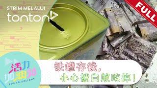 活力加油站 Living Delight 2024  2024年7月15日 铁罐存钱，小心被白蚁吃掉！