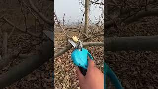 32mm 8608 cordless electric pruning shear cutting branches video