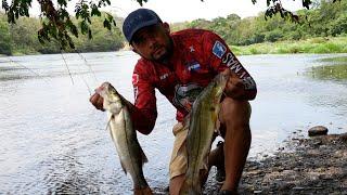 Pesca De Robalos De Río