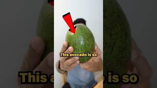 Why is THIS avocado not popular? #avacados