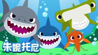 出動！鲨魚  朱妮托尼儿歌  Animal Song in Chinese  動物兒歌  兒歌童謠  卡通動畫  朱妮托尼童話音樂劇