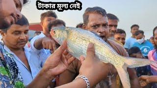টাকার মূল্য নেই পদ্মার ইলিশ কিনতেtoday fish market videos  Banglali fishing  ilish price. Rasel