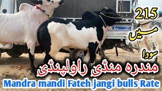 Today mandra mandi latest update ll 215 mae soda ll domail mandi ll jamil tv ll