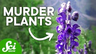 The Top 10 Deadliest Plants They Can Kill You