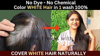 I Apply it on My White Hair & see the Magic  How to Color White Hair at Home Naturally 1 Wash