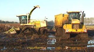 Maïs 2011  Wet harvest  Loonbedrijf Entjes aan het hakselen op rupsen  Terra Gator met BLW kipper