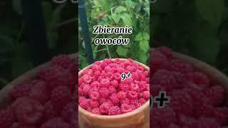 Pomysły na zarabianie pieniędzy poniżej 18 lat