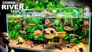 The River Congo EPIC 4FT PUFFERFISH Aquarium Aquascape Tutorial