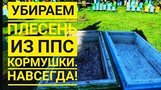 Как убрать плесень из ППС кормушки для #пчёл?