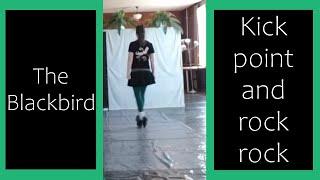 Traditional Irish Set Dance Slow Tutorial  The Blackbird