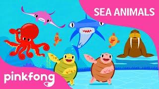 Move Like Sea Animals  Sea Animal Songs  Animal Songs  Pinkfong Songs for Children