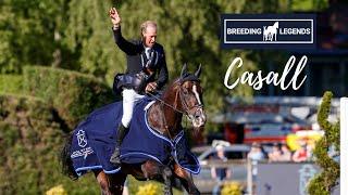 Breeding Legends  Casall   Sein Werdegang sportlich sowie in der Zucht