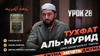 Урок 28  تحفة المريد Тухфат аль-мурид