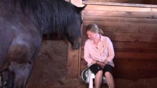 Horses Connect and Heal People at an Equinisity Retreat