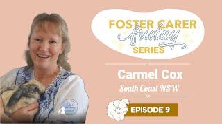 Daily Life of a Rabbit Foster Carer with Carmel Cox  Foster Carer Friday Series  Episode 9