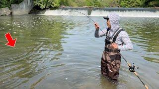 I Caught the Fish of 10000 Casts... On my SECOND CAST from this TINY DAM