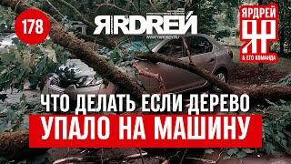 На автомобиль упало дерево сосулька и т.п. - что делать? На примере Порше Ниссан Рено Мицубиси